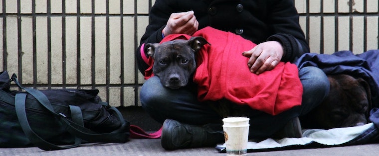 homeless man dog