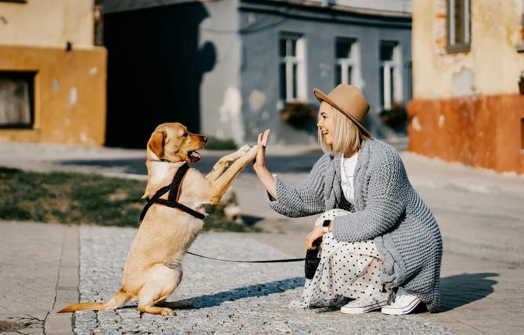 woman and Dog