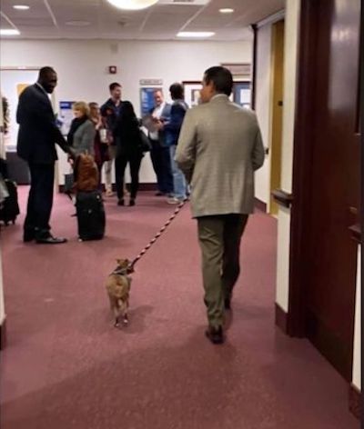 Allie at Florida's state capital