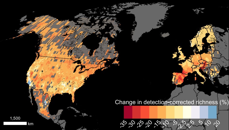 Bumblebee species index