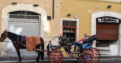 horse-drawn carriage