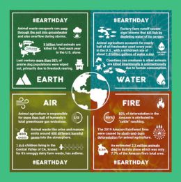 Consequences of eating animals