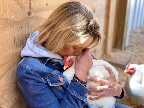 Chicken Valentine