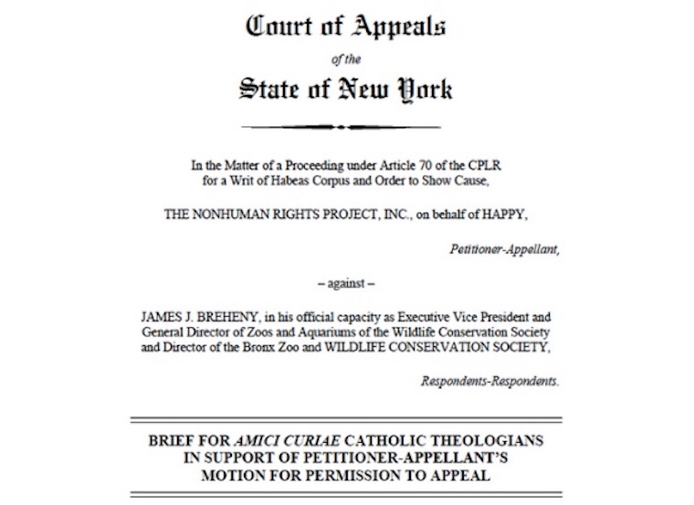 Brief Happy Elephant