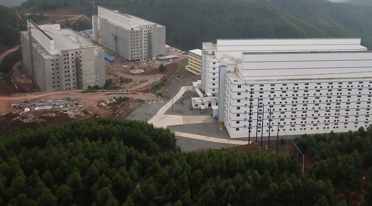 Pig highrises