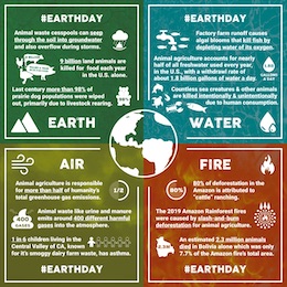 animal agriculture