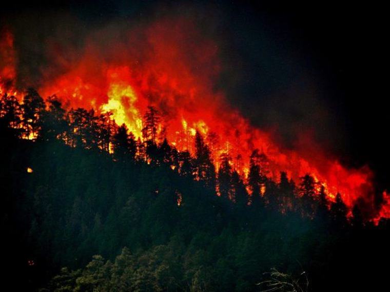 forest fire