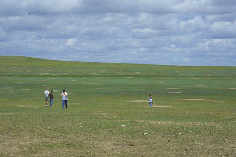Prairie Dog tourists