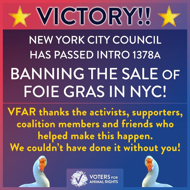 Voters for Animal Rights