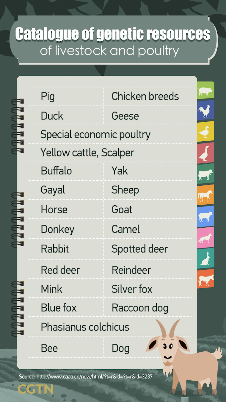 Livestock and Poultry