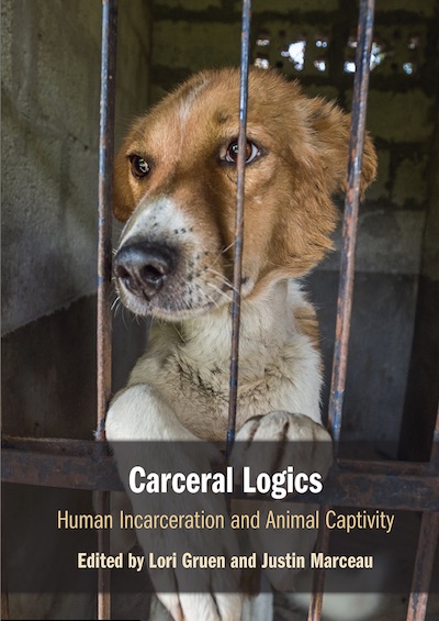 caged Dog