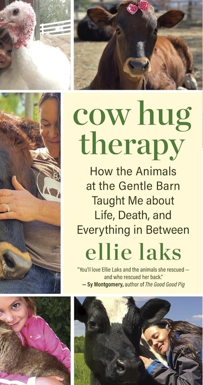 Cow Hug Therapy