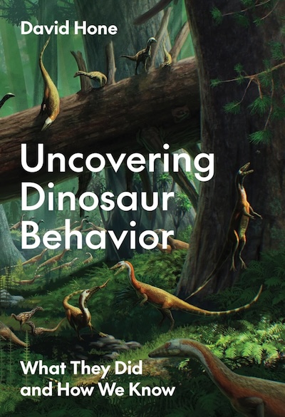 dinosaur behavior