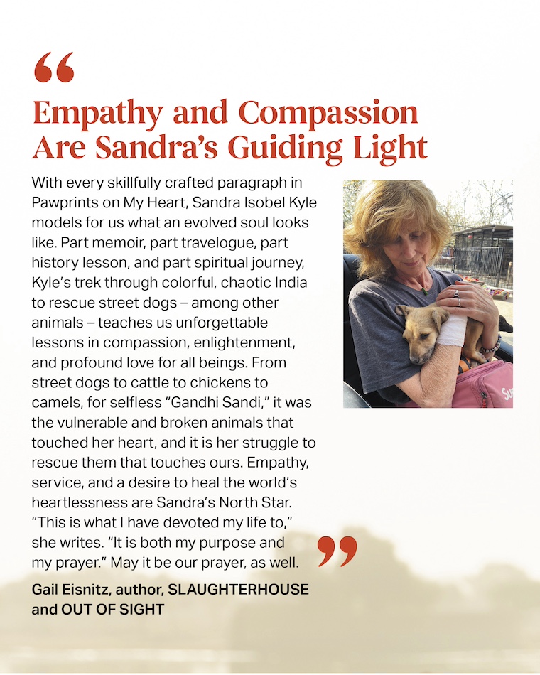 quote about book and photo of author