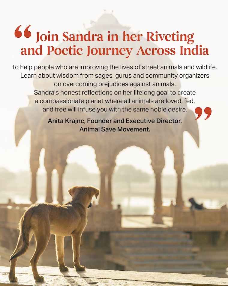 quote about book and image of dog