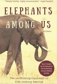 elephants in america