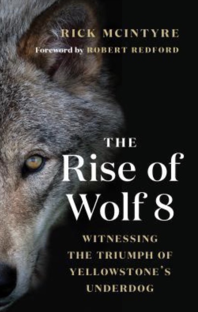 Rise of Wolf8