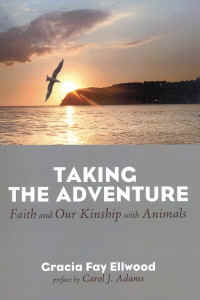 Taking the Adventure