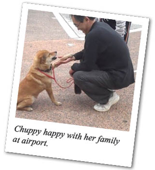 rescued dog and human