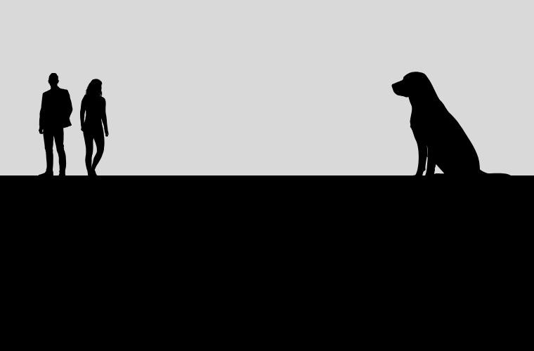 silhouettes of people and dog