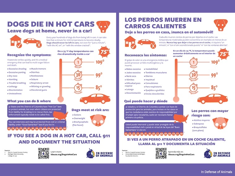 Hot Dog Defender Poster