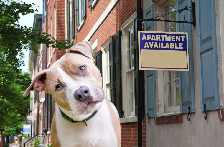 dog and apartment available sign