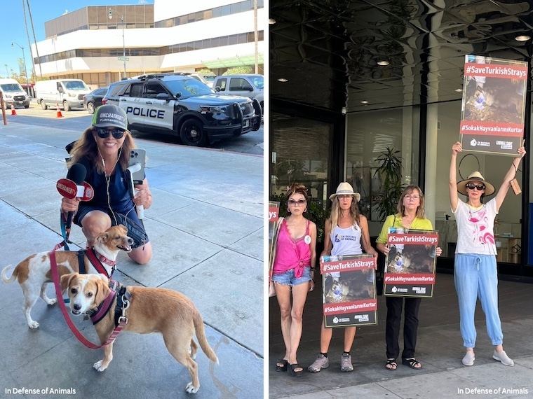 photos of protest in LA