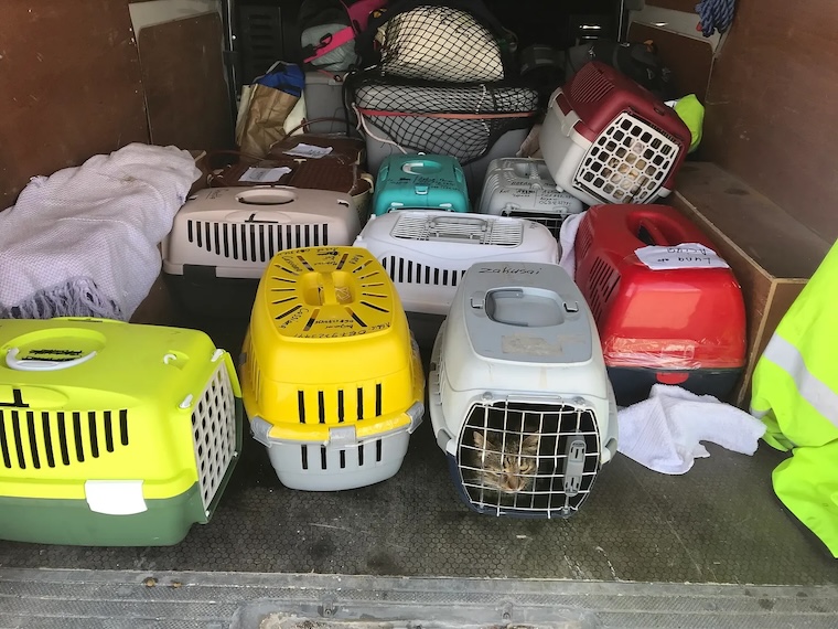 Cat carriers