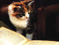 cat-book.gif (137497 bytes)