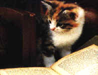 cat-book-l.jpg (4482 bytes)