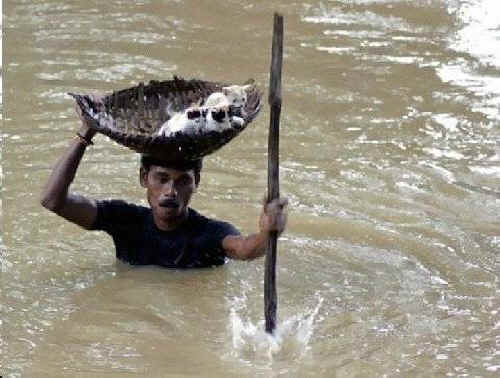 keeping animals safe
