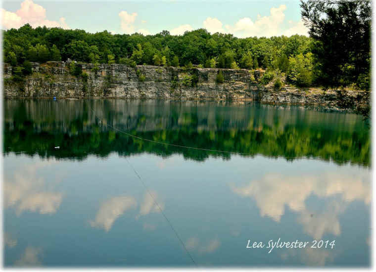 Coffey Grounds Lea Sylvester