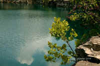 Coffey Grounds Lea Sylvester