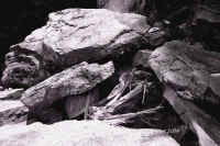 image-07