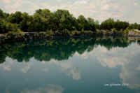 Coffey Grounds Lea Sylvester