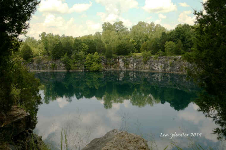 Coffey Grounds Lea Sylvester