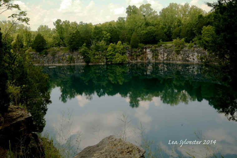 Coffey Grounds Lea Sylvester