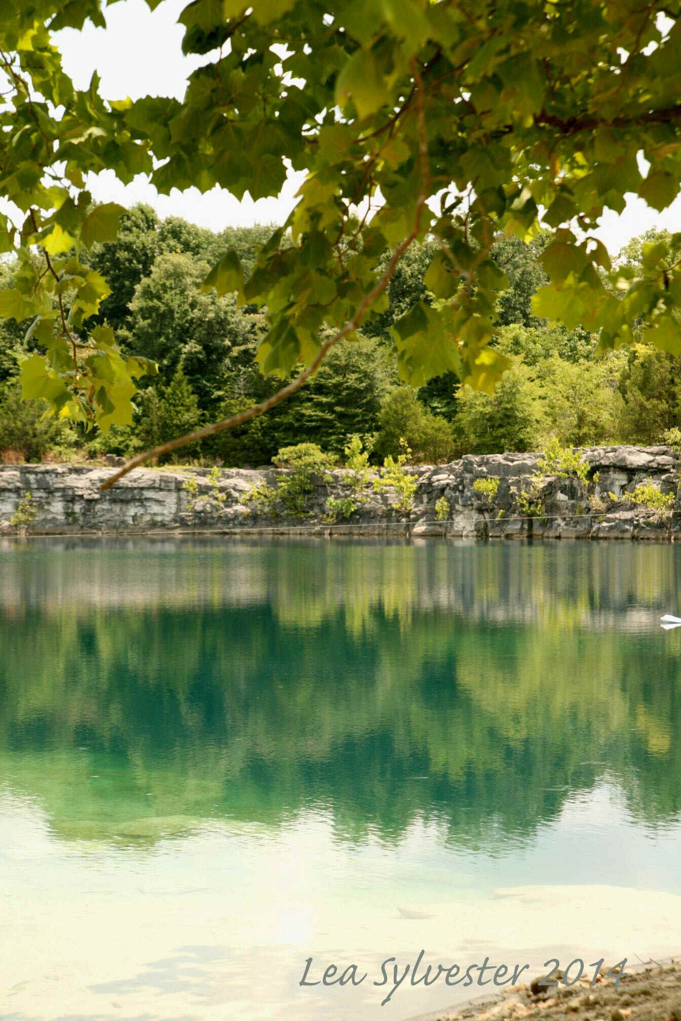 Coffey Grounds Lea Sylvester