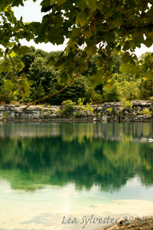 Coffey Grounds Lea Sylvester