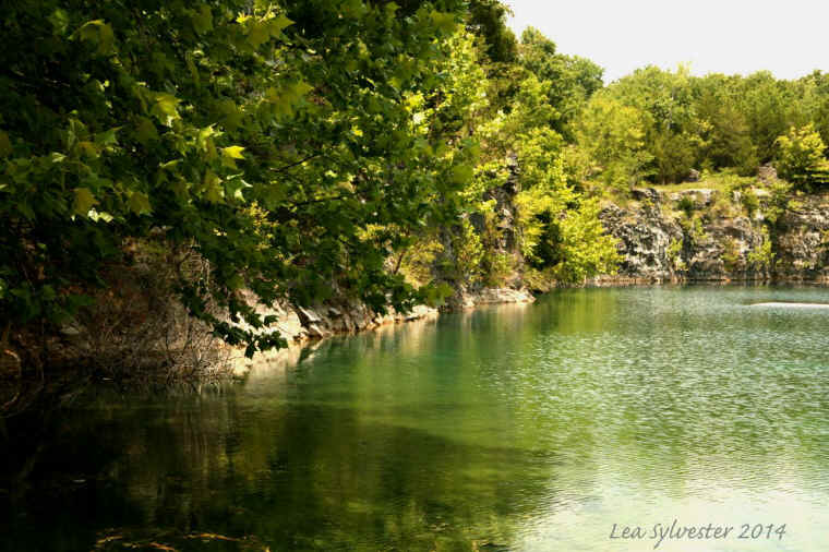 Coffey Grounds Lea Sylvester