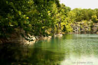 Coffey Grounds Lea Sylvester