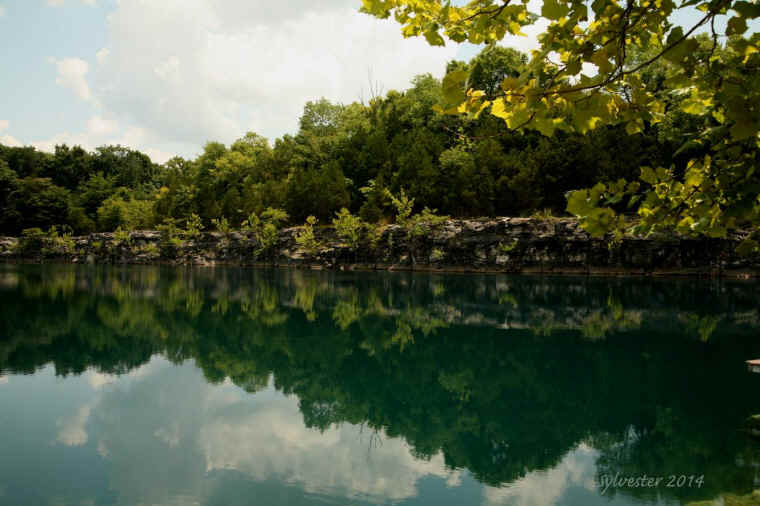 Coffey Grounds Lea Sylvester
