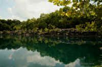 Coffey Grounds Lea Sylvester
