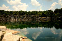 Coffey Grounds Lea Sylvester