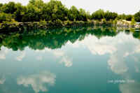 Coffey Grounds Lea Sylvester