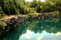 Coffey Grounds Lea Sylvester