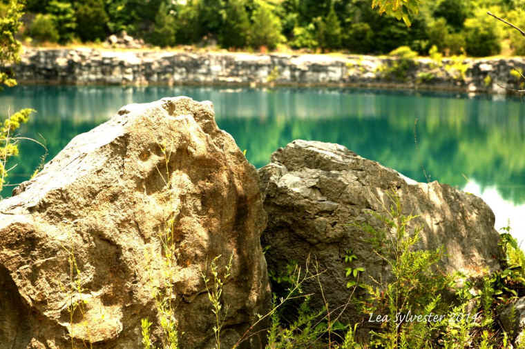 Coffey Grounds Lea Sylvester