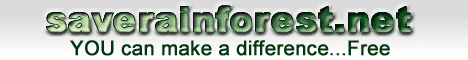 srfbannr2.gif (8235 bytes)