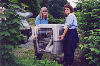 an-su2001-swanrescue2.jpg (170103 bytes)