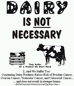 dairy shirt